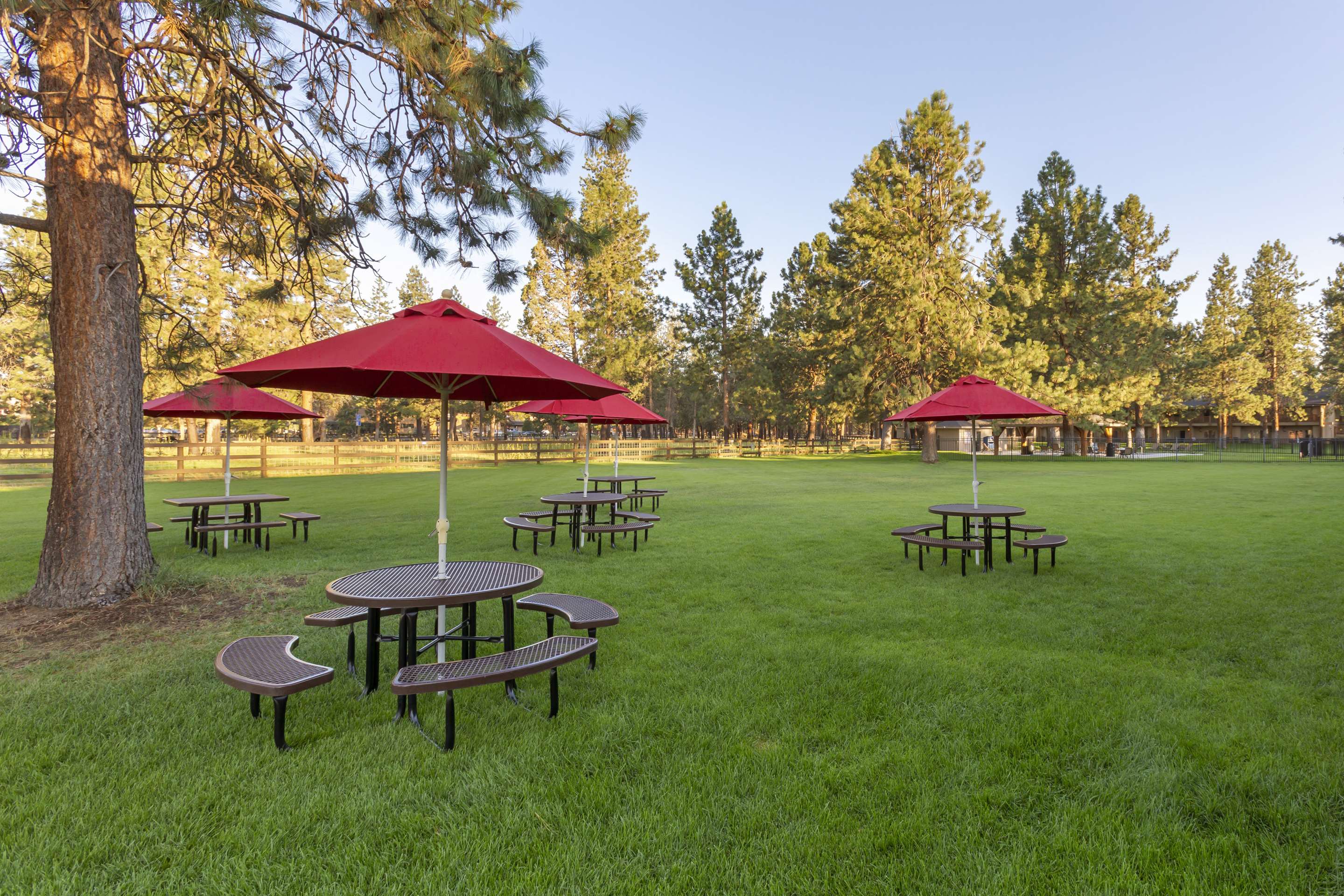 Exterior Breakfast | Best Western Ponderosa Lodge