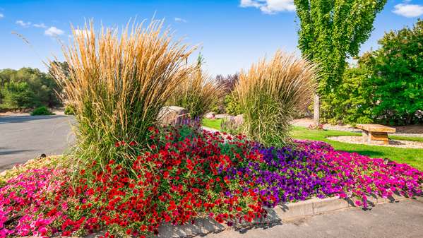 Exterior view - Best Western Prineville Inn