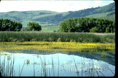  - Best Western Plus Rama Inn & Suites La Grande