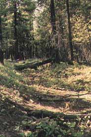  - Best Western Plus Rama Inn & Suites La Grande