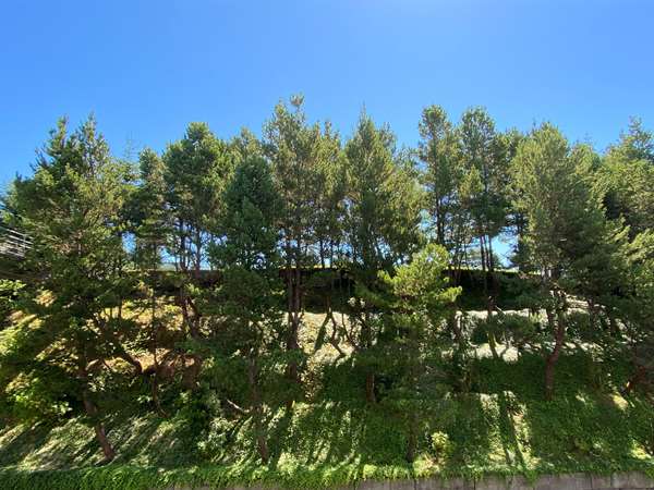  - Best Western Plus Agate Beach Inn Newport