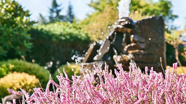 Exterior view - Best Western Sandy Inn