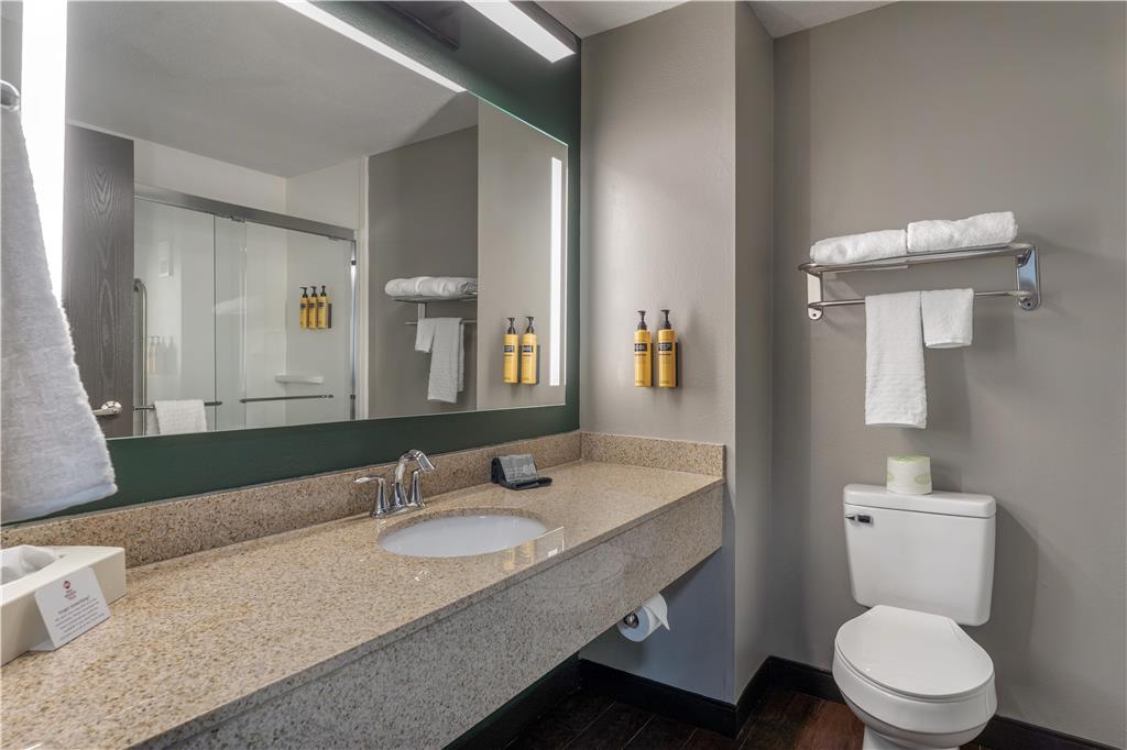 Best Western Plus Executive Inn-guestroom-Guest Room,Bathroom,On-Site.jpg