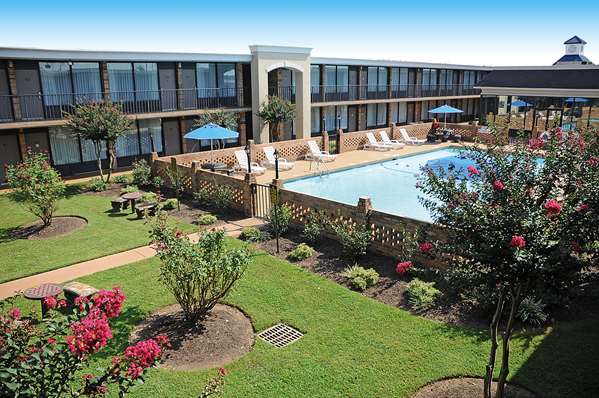 Pool - Best Western Greenville Airport Inn - I-85, Exit 54