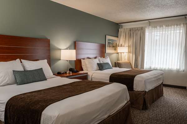  - Best Western Buffalo Ridge Inn Custer