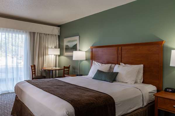  - Best Western Buffalo Ridge Inn Custer