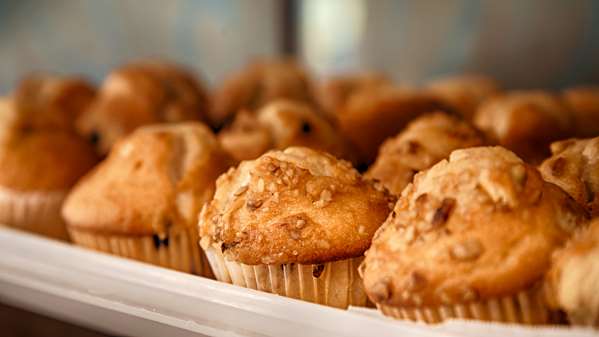 Amenities - Best Western Franklin Inn - I-65, Exit 65