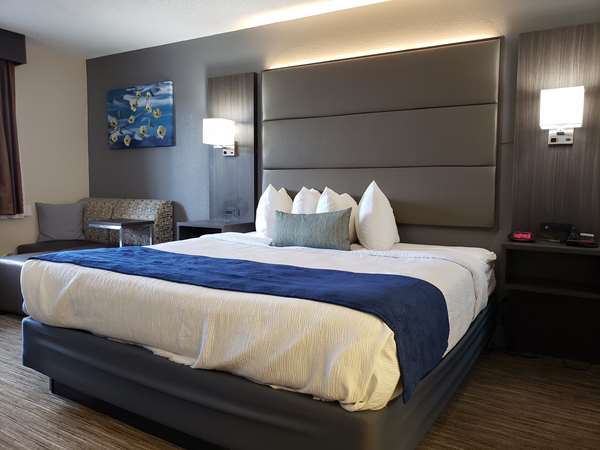  - Best Western Dickson Hotel - I-40, Exit 172