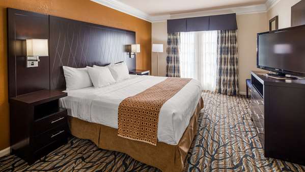 Suite - Best Western Inn & Suites Spring Hill
