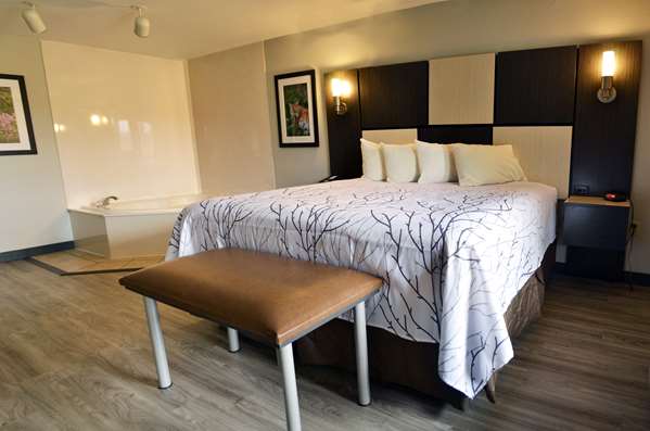 Suite - Best Western Cades Cove Inn Townsend