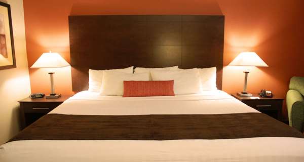 Suite - Best Western Inn & Suites New Braunfels - I-35, Exit 189