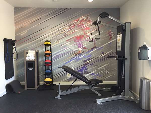 Fitness/ Exercise Room - Best Western Plus North Houston Inn & Suites - I-45, Exit 63