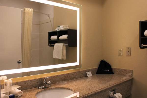  - Best Western Plus North Houston Inn & Suites - I-45, Exit 63
