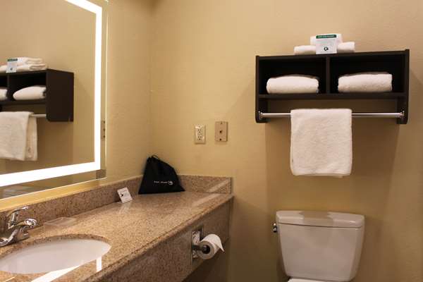  - Best Western Plus North Houston Inn & Suites - I-45, Exit 63