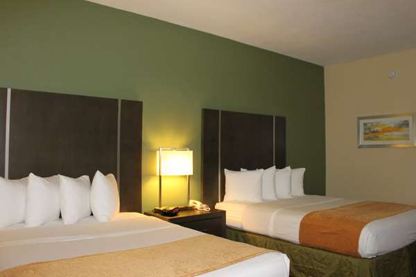  - Best Western Plus North Houston Inn & Suites - I-45, Exit 63