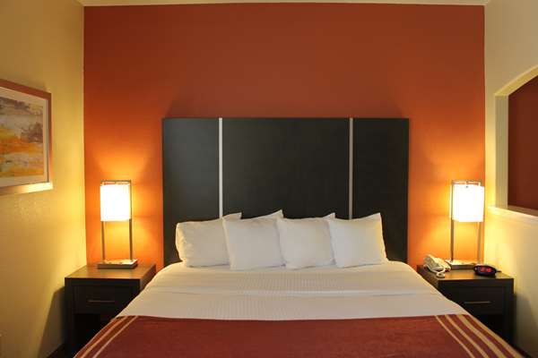  - Best Western Plus North Houston Inn & Suites - I-45, Exit 63