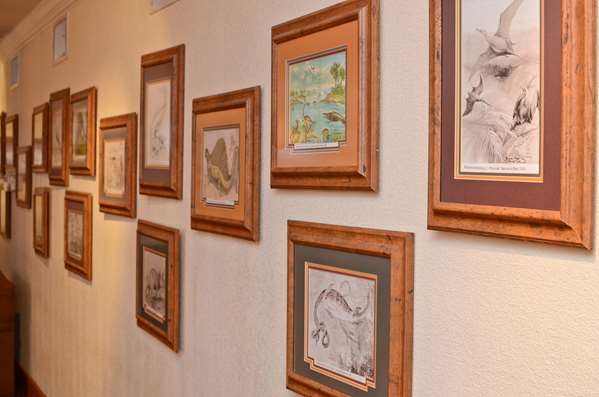  - Best Western Dinosaur Valley Inn & Suites Glen Rose