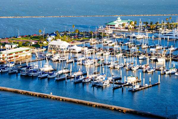  - Best Western Corpus Christi Hotel