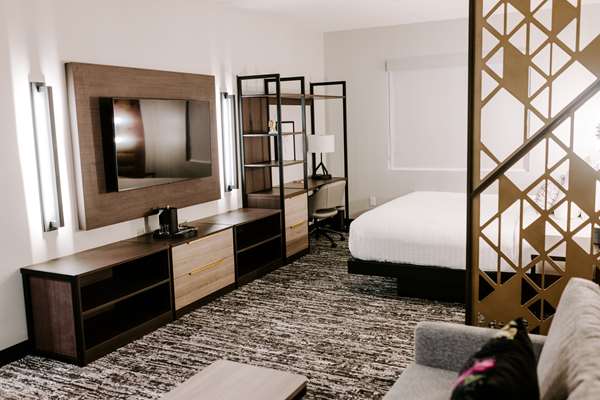 Suite-1 King Bed, Non-Smoking, Communication Assistance, Sofabed, Work Desk, Mini Fridge