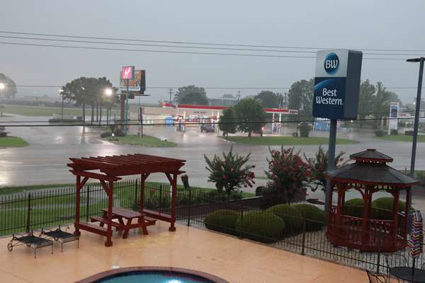 Pool - Best Western Lake Conroe Inn Montgomery