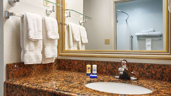  - Best Western Pineywoods Inn Atlanta