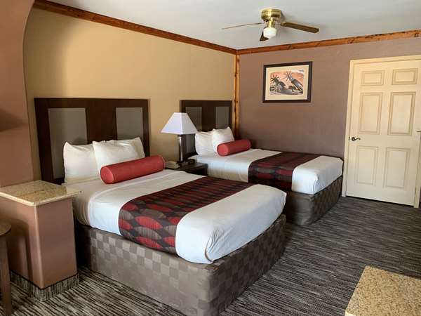 Suite - Best Western Windwood Inn & Suites Freer