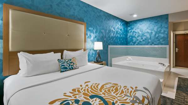  - Best Western Plus Atascocita Inn & Suites Humble