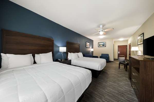 Suite - Best Western Plus Lake Dallas Inn & Suites Lake Dallas