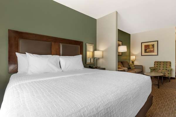 Suite - Best Western Plus Duncanville Dallas Hotel