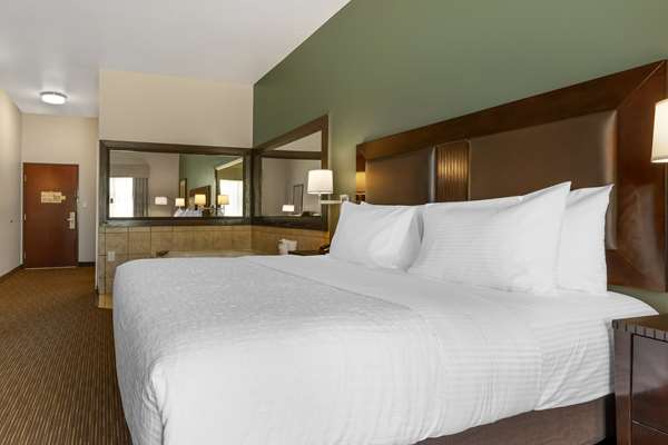  - Best Western Plus Duncanville Dallas Hotel