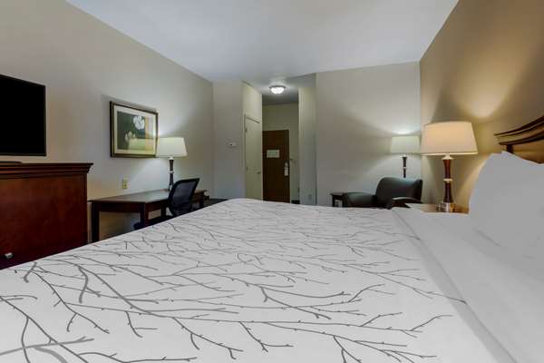  - Best Western Plus Sweetwater Inn & Suites - I-20, Exit 244