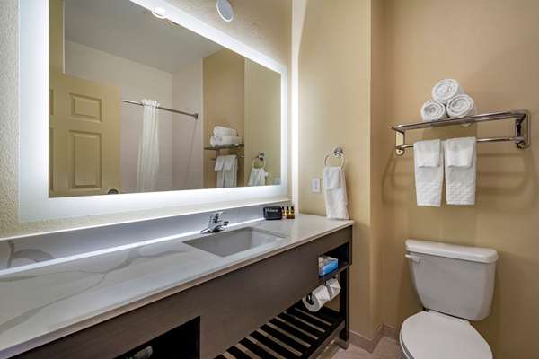  - Best Western Plus Monica Royale Inn & Suites Greenville