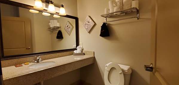  - Best Western Plus Emory at Lake Fork Inn & Suites