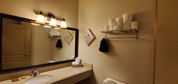  - Best Western Plus Emory at Lake Fork Inn & Suites