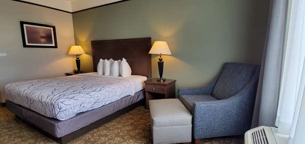  - Best Western Plus Emory at Lake Fork Inn & Suites