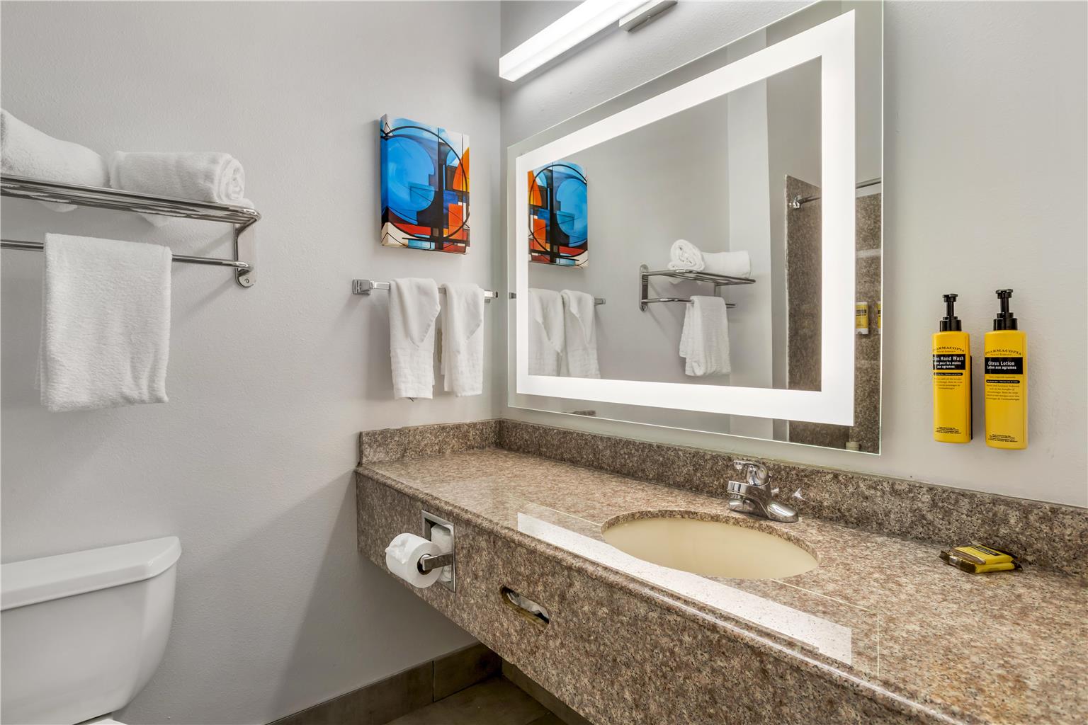 Best Western Plus New Caney Inn & Suites-guestroom-Guest Room,Bathroom,Suite,On-Site.jpg
