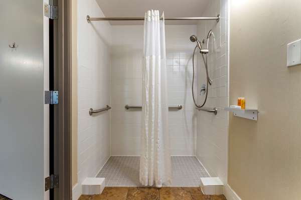 Accessible - 1 King, Mobility Accessible, Communication Assistance, Roll In Shower, Microwave And Refrigerator, Wi-Fi, Non-Smoking, Full Breakfast