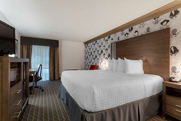 1 King Bed, Non-Smoking, Microwave And Refrigerator, Work Desk, Wi-Fi, Full Breakfast