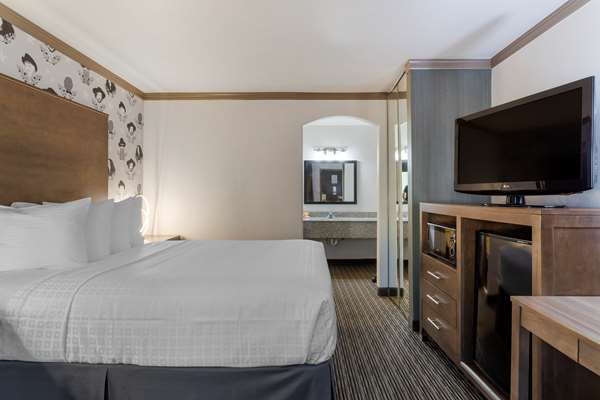1 Queen Bed, Non-Smoking, Exterior Entrance, Microwave And Refrigerator, Wi-Fi, Full Breakfast