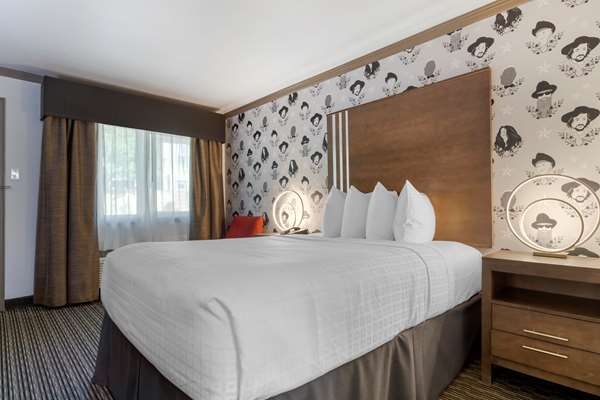1 Queen Bed, Non-Smoking, Exterior Entrance, Microwave And Refrigerator, Wi-Fi, Full Breakfast