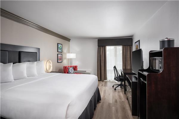 1 King Bed, Non-Smoking, Microwave And Refrigerator, Work Desk, Wi-Fi, Full Breakfast