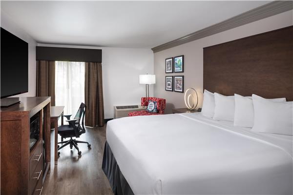 Accessible - 1 King, Mobility Accessible, Communication Assistance, Bathtub, Microwave And Refrigerator, Non-Smoking, Full Breakfast