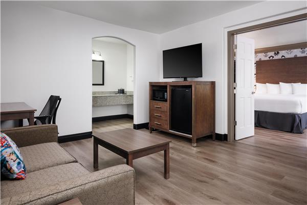 Suite-1 King Bed, Non-Smoking, Sofabed, Work Desk, Microwave And Refrigerator, Wi-Fi, Full Breakfast