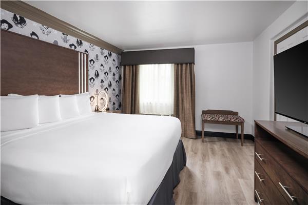 Suite-1 King Bed, Non-Smoking, Sofabed, Work Desk, Microwave And Refrigerator, Wi-Fi, Full Breakfast