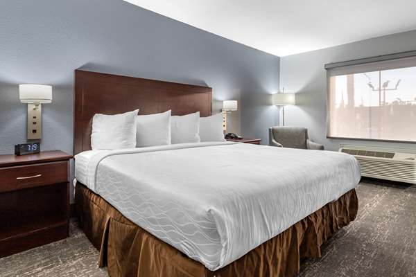  - Best Western Plus Orange County Vidor Inn - I-10, Exit 860 & 861