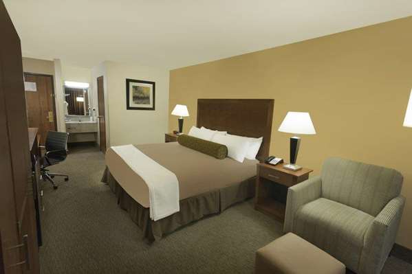  - Best Western Plus Atrium Inn Schertz - I-35, Exit 175