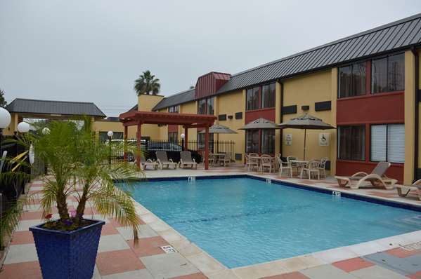 Pool - Best Western Webster Hotel