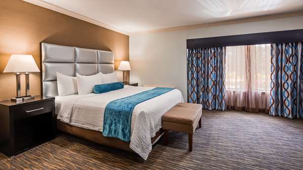  - Best Western Webster Hotel