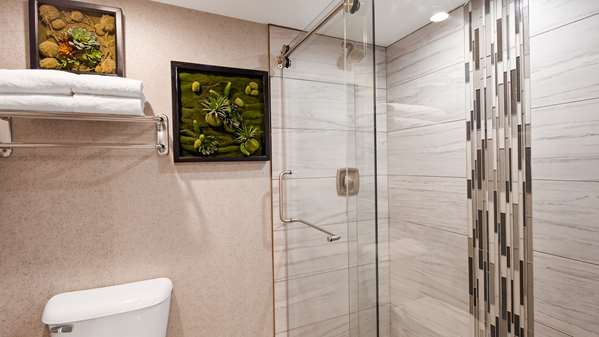 2 Queen Beds, Non-Smoking, High Speed Internet Access, Sofabed, Microwave, Refrigerator, Coffee Maker, Full Breakfast