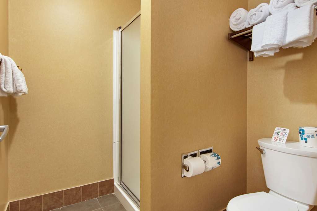 Best Western Plus Ruby's Inn-guestroom-Guest Room,Bathroom,On-Site.jpg
